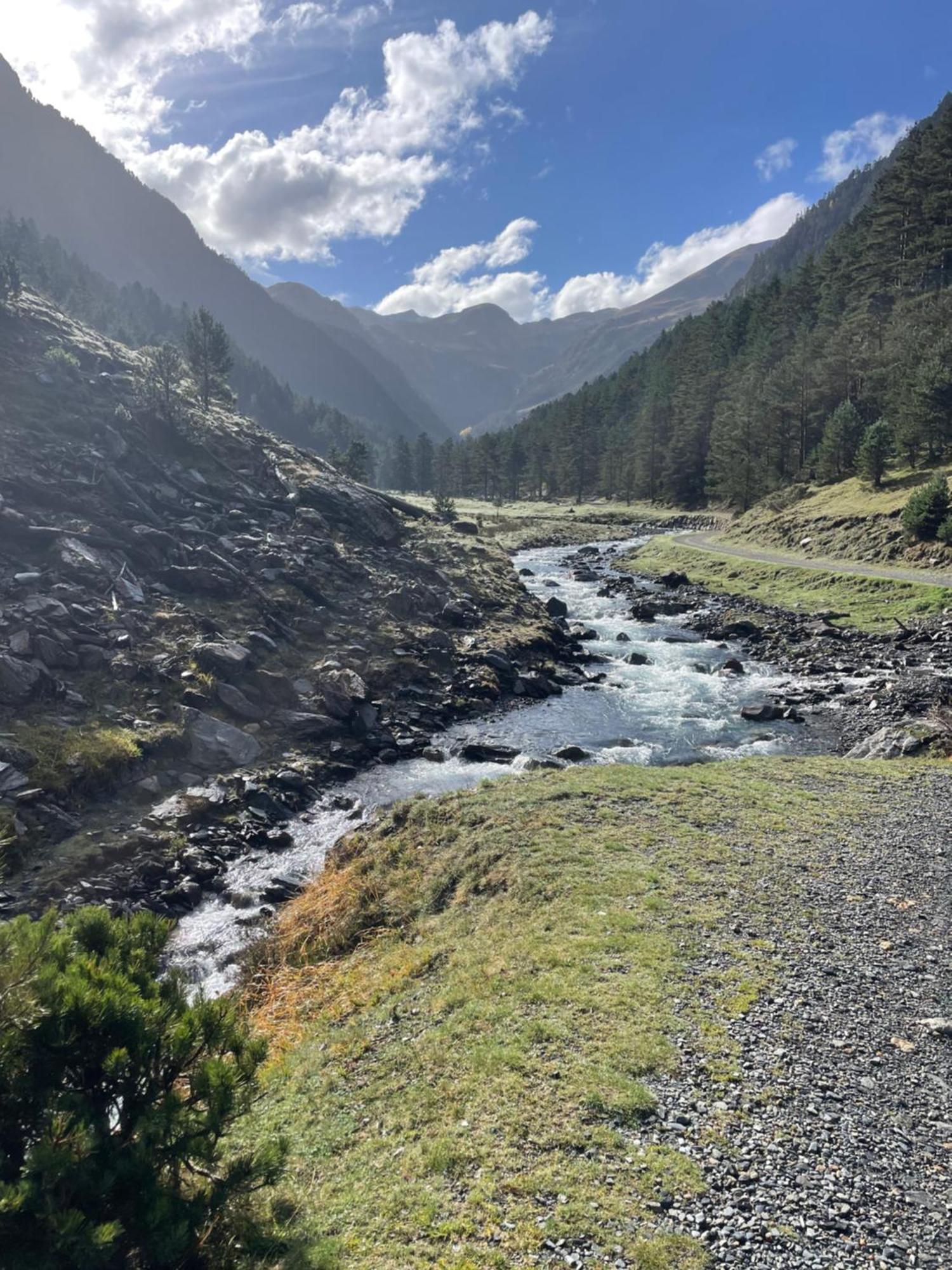 Appt Renove Saint-Lary-Soulan Village Avec Jardin المظهر الخارجي الصورة